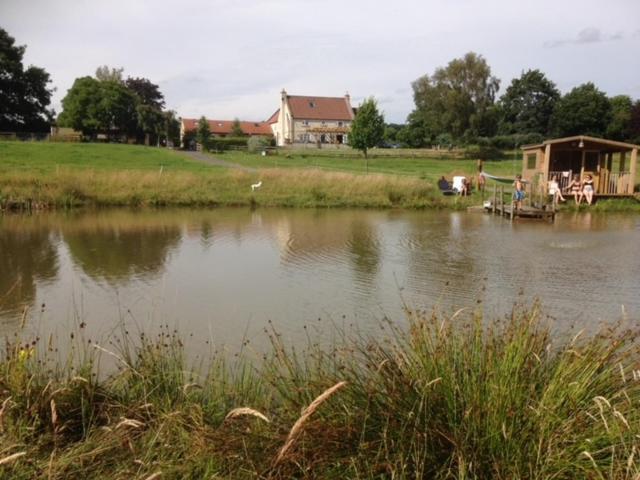 Beck Hill Cottage In Brandsby York Exteriör bild